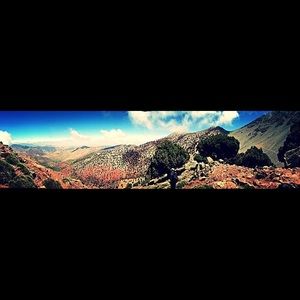 Meet your Posher, Theresa