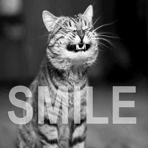 Meet your Posher, Nui