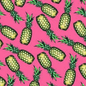 Meet your Posher, Evangeline