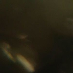 Meet your Posher, Clara