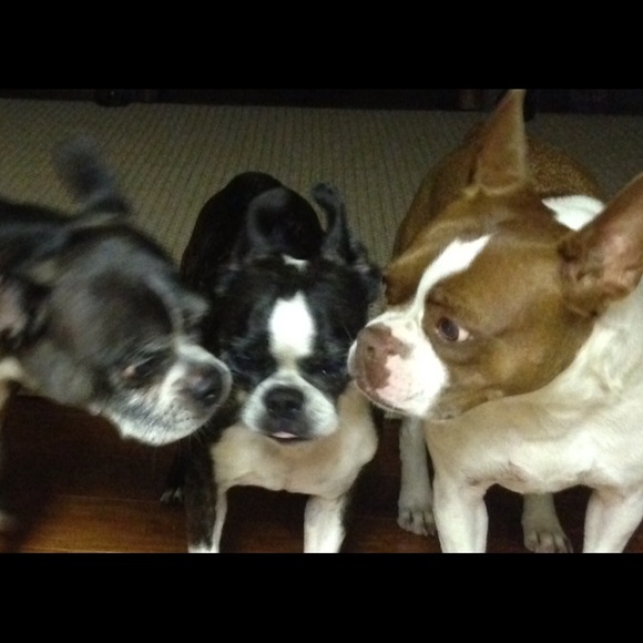 Meet your Posher, Dena - Picture 2 of 3