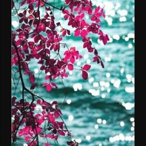 Meet your Posher, Danette