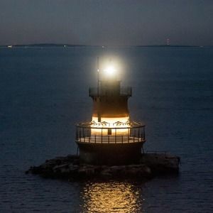 Meet your Posher, Joann