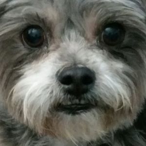 Meet your Posher, Lynn