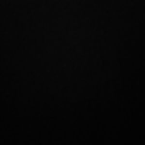 Meet your Posher, Flavius