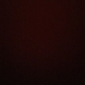 Meet your Posher, Abigail