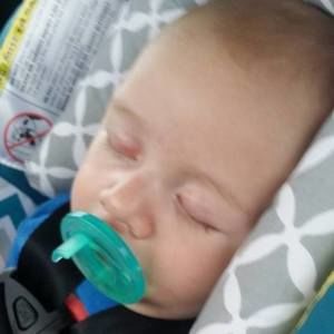 Meet your Posher, Darla