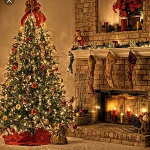 Christmas photography backdrop