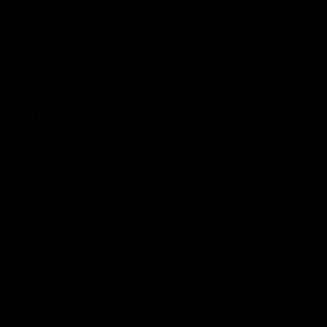 Meet your Posher, Collin