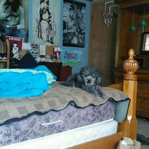 Meet your Posher, Wesley