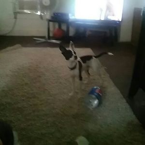 Meet your Posher, Tracy