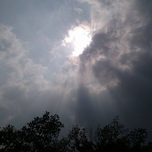 Meet your Posher, Cari