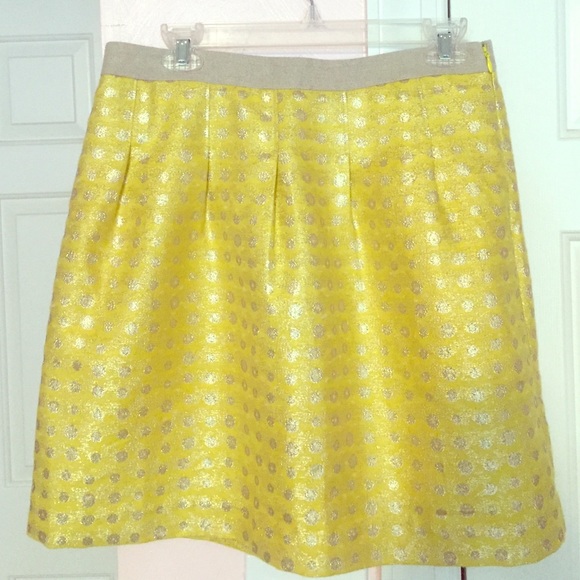 Ann Taylor LOFT Skirt