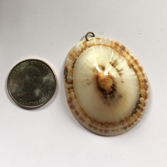 Shell necklace pendant - Picture 2 of 3
