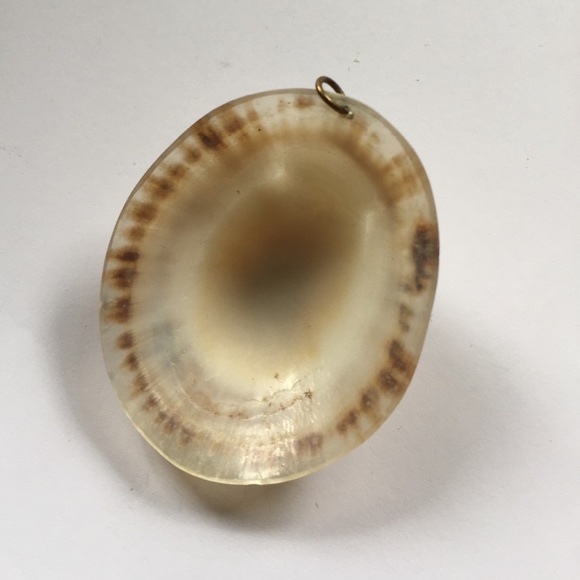Shell necklace pendant - Picture 3 of 3