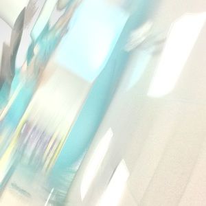 Meet your Posher, Meg