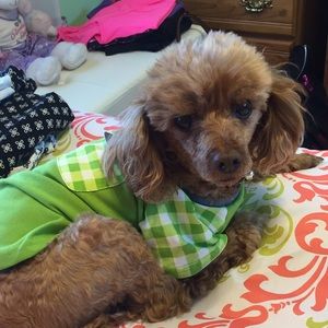 Meet your Posher, Kerry