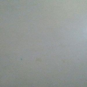 Meet your Posher, Daria