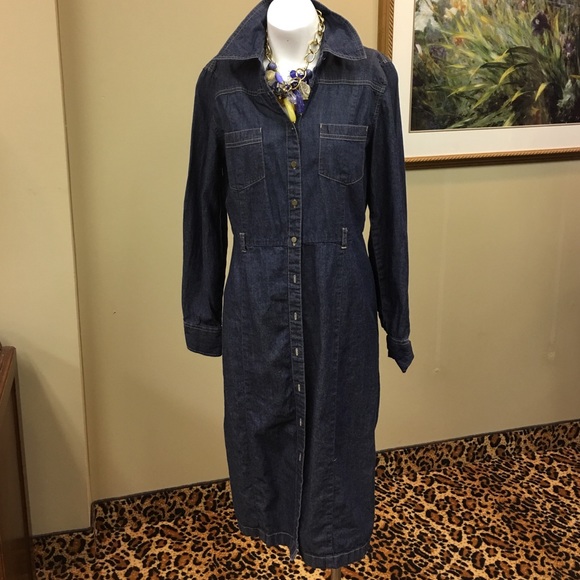 Must have Denim dress