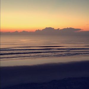 Meet your Posher, Elle