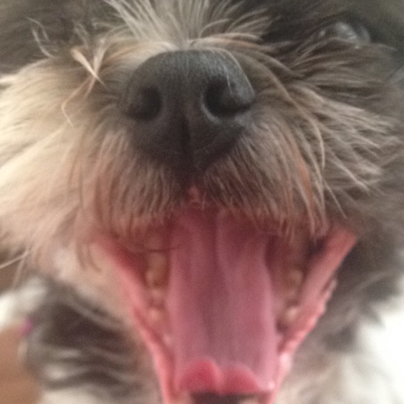 Meet your Posher, Samantha