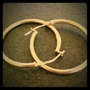 Loop Earrings