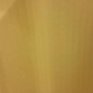 Meet your Posher, Jenny