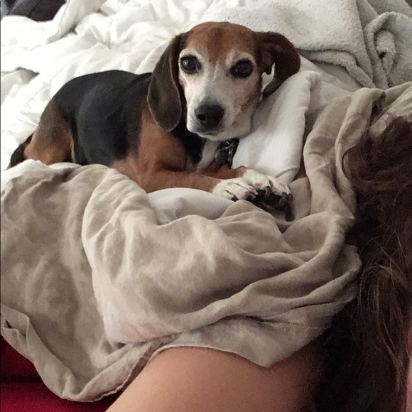 Meet your Posher, Demi - Picture 3 of 3