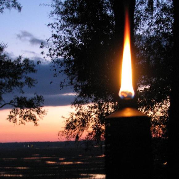 Meet your Posher, Dottie - Picture 1 of 1