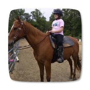 Meet your Posher, Julie