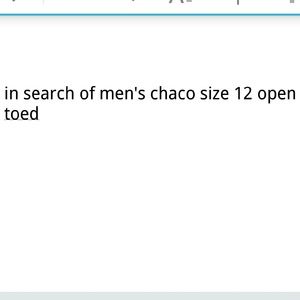 ISO MENS CHACOS