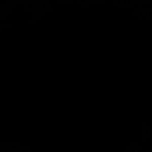 Meet your Posher, Silvia