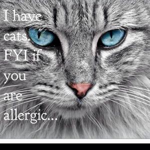 I have cats