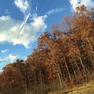 Meet your Posher, Elsa