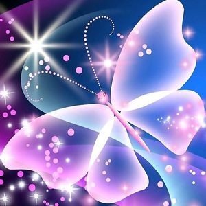 Meet your Posher, Annaleise