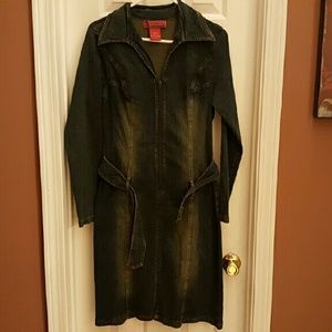 Hot Kiss Denim Dress