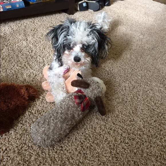 Meet your Posher, Erika - Picture 4 of 4