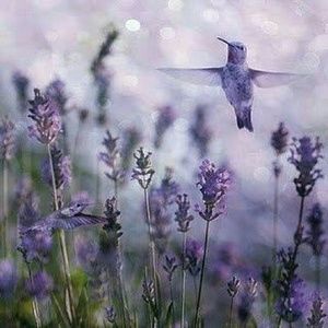 Meet your Posher, Jodi