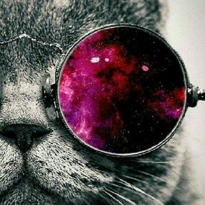 Meet your Posher, Esther