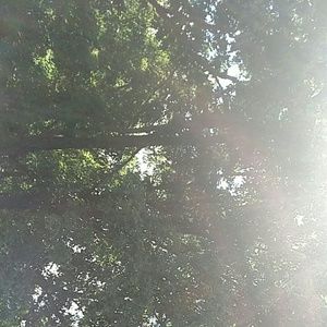 Meet your Posher, Ariel