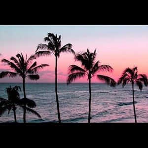 Meet your Posher, Cecilia