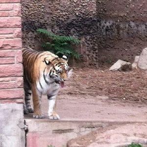 Meet your Posher, Dianna