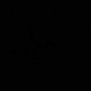 Meet your Posher, Randi