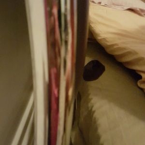 Meet your Posher, Camille