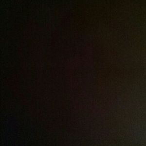 Meet your Posher, Laila