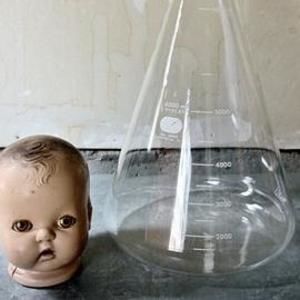 Meet your Posher, Lester