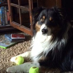 Meet your Posher, Autumn