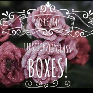 ISO!! LE MAC lipstick or lipglass BOXES only