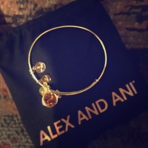 Alex and Ani bracelet NWOT