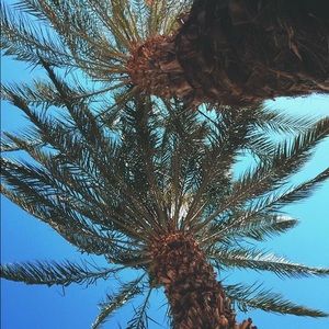 Meet your Posher, Leah